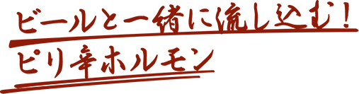 ビールと一緒に流し込む！ピリ辛ホルモン